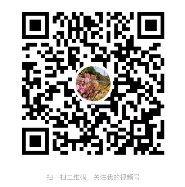 视频号二维码